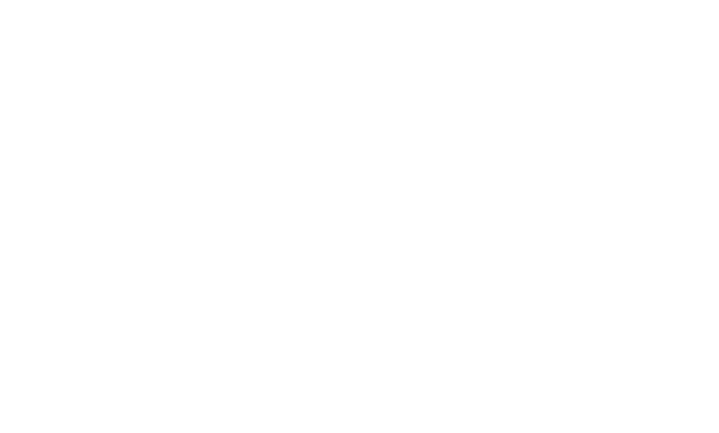 Sports Dynamics
